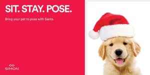 Pet Photo Night @ Ocean County Mall | Toms River | New Jersey | United States