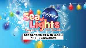 Sea of Lights @ Jenkinson’s Aquarium  | Point Pleasant Beach | New Jersey | United States