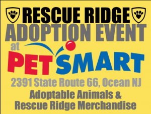 Adoption Event at Petsmart @ PetSmart | New Jersey | United States