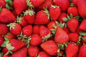 Strawberry Festival @ Wilbraham Park | Cape May | New Jersey | United States