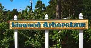 Linwood Arboretum @ Linwood Arboretum | Linwood | New Jersey | United States