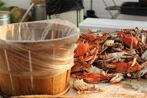 NJ Crab Festival @ Ice House Restaurant  | Wildwood | New Jersey | United States