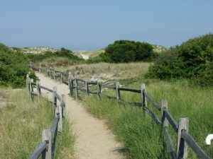 National Trails Day @ Island Beach State Park Beach 1 | New Jersey | United States