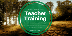 20 Hour Teacher Training: Substance Abuse and Mental Health Issues @ Root to Rise | Belmar | New Jersey | United States