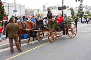 FREE Horse & Carriage Rides @ City Hall | Ocean City | New Jersey | United States