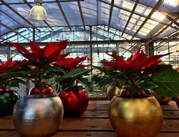 2018 Holiday Gala @ Barlow's Flower Farm | Sea Girt | New Jersey | United States