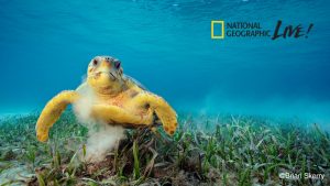 National Geographic Live – Ocean Soul @ Jay and Linda Grunin Center for the Arts | Toms River | New Jersey | United States