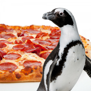 Pizza and Penguins @ Jenkinson's Aquarium