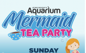 Mermaid Tea Party @ Jenkinson's Aquarium 