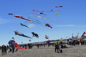 5th Annual LBI Fly International Kite Festival @ LBI Beaches