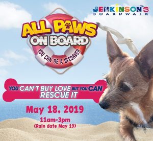 All Paws on Board Dog Adoption Event @ Jenkinson's Boardwalk
