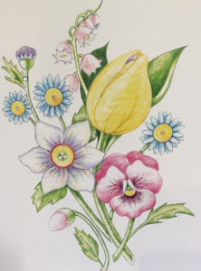 Drawing a spring bouquet with colored pencils