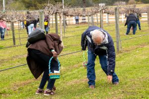 3rd Annual Easter Cork Hunt @ Fox Hollow Vineyard